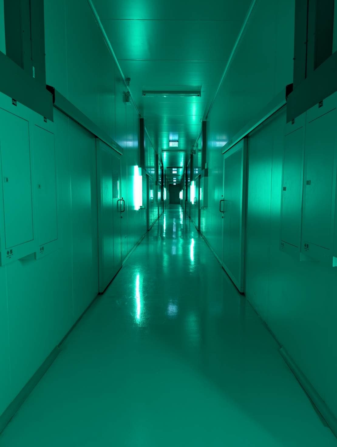 GMP-Ready Processing - Thai Genesis Trading facility